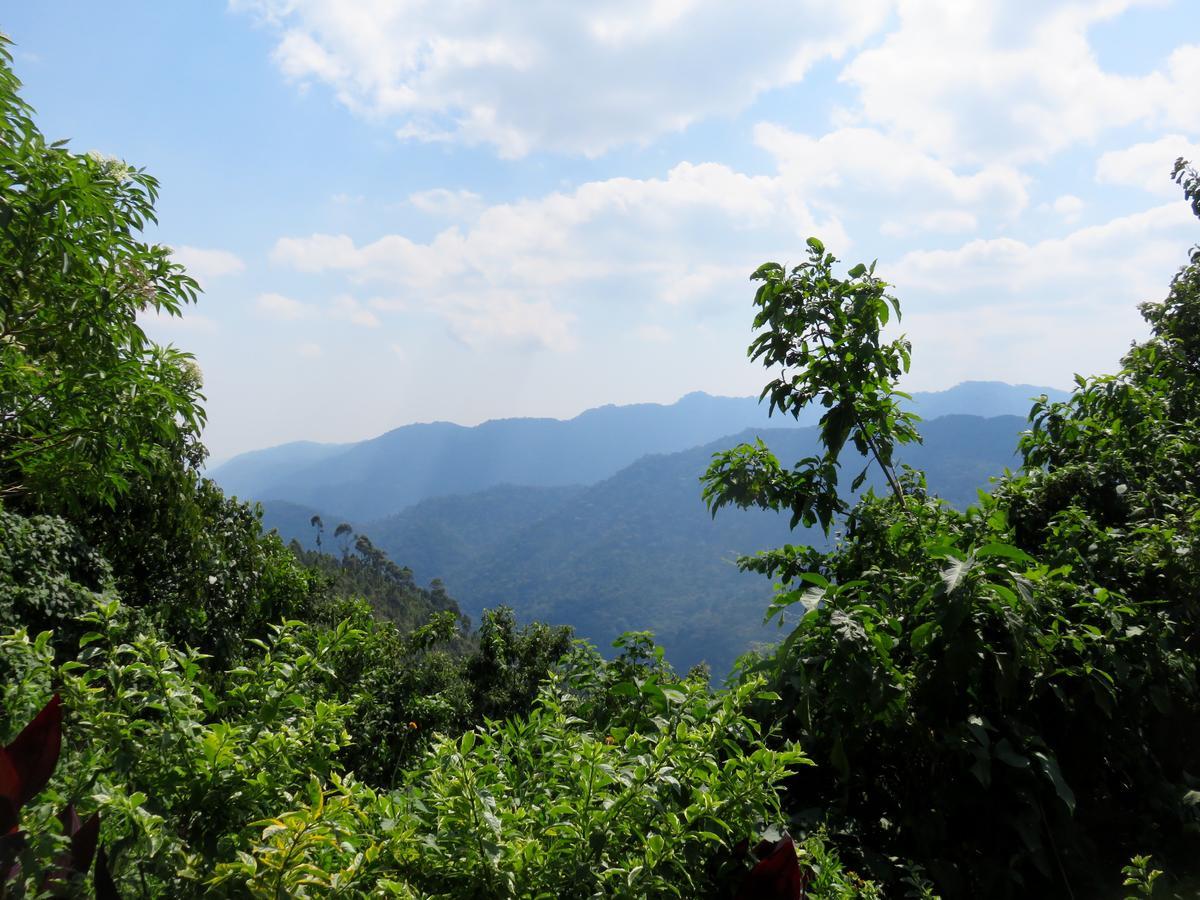 Nkuringo Bwindi Gorilla Lodge Ngoại thất bức ảnh