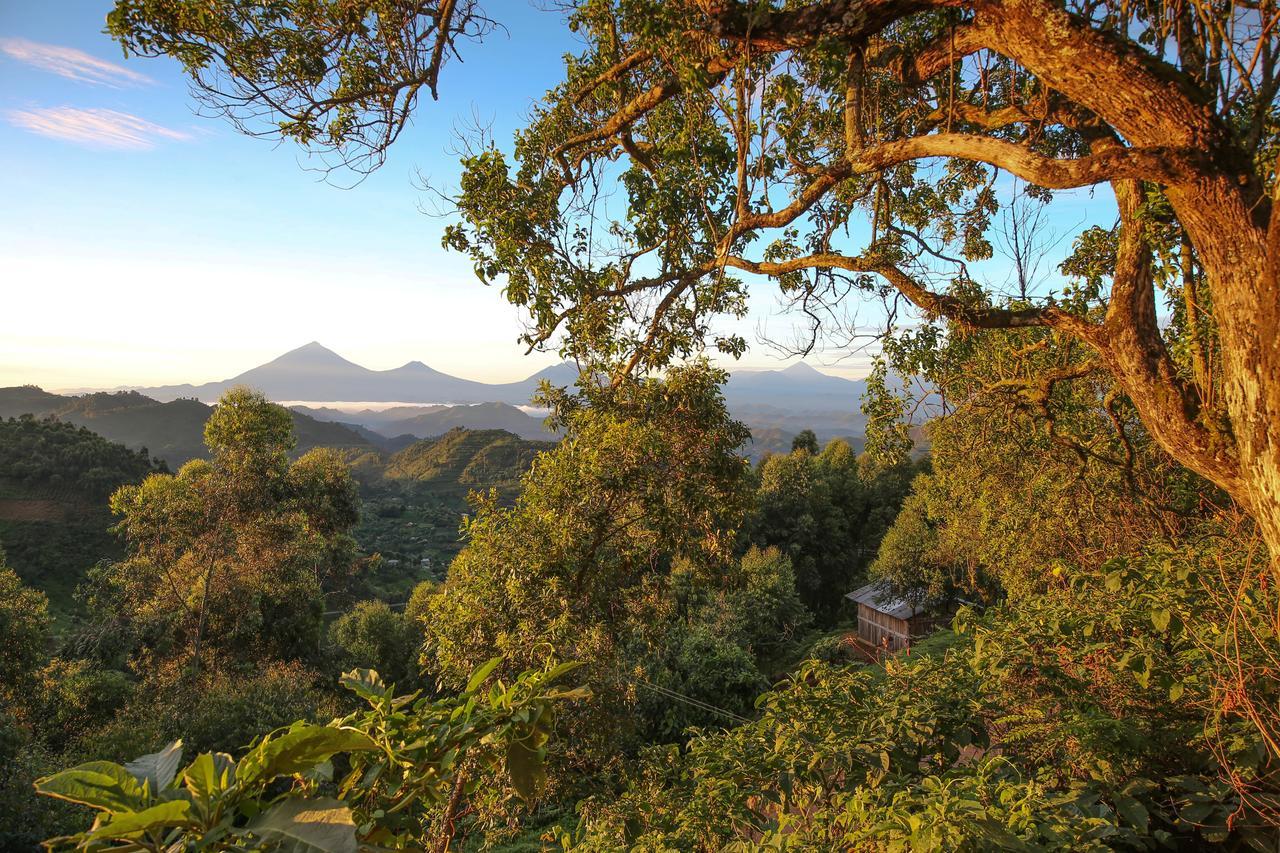 Nkuringo Bwindi Gorilla Lodge Ngoại thất bức ảnh